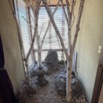 坪庭があります